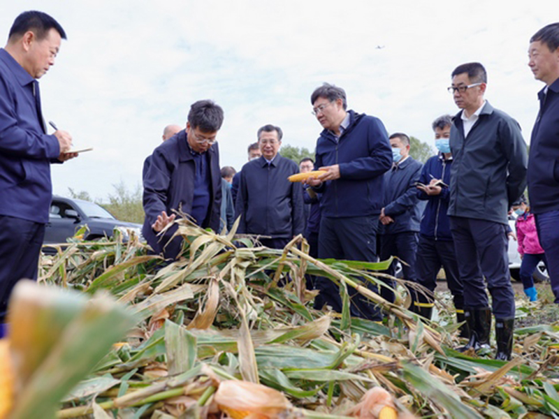 王永康主持召開黑龍江農業品牌推廣座談會